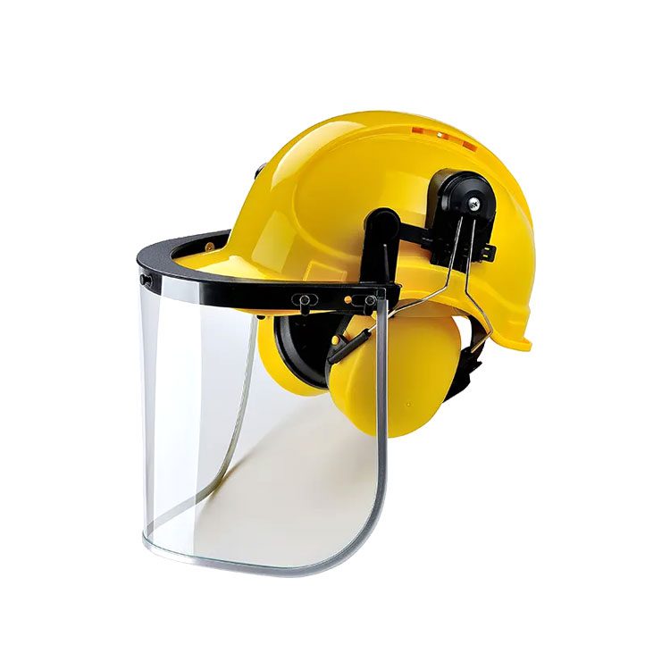 Safety Helmet With Face Shield Image